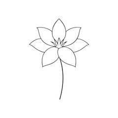 A Purple Pasque Flower A Bell Shaped Spring Blossom On A White Background