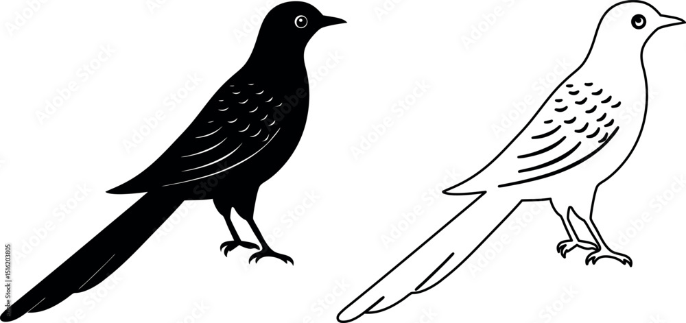 Poster cuckoo bird vector illustration with colorful elements for graphic design projects