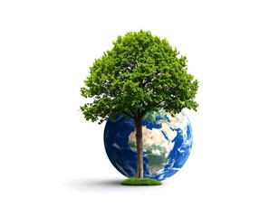 Earth and tree on white background