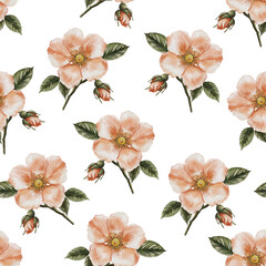 Seamless watercolor pattern with vibrant wild rose (rosehip) flowers on a white background. Hand-painted floral design perfect for fabric, wrapping paper, wallpaper, and elegant botanical projects.