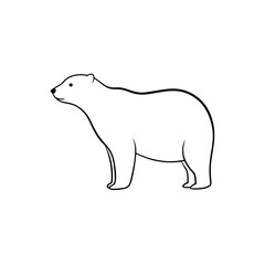 A Large Polar Bear An Arctic Predator Standing On An Isolated White Floor