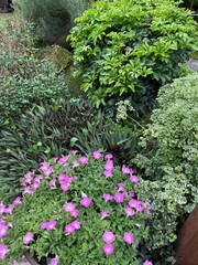 Nature, Greenery, Garden, Forest, Lush, Outdoor, Landscape