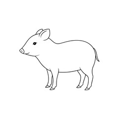 Fototapeta premium The Critically Endangered Pygmy Hog A Rare Porcula Salvania On A White Backdrop