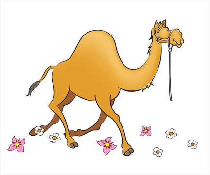 Camel cartoon - ship of desert