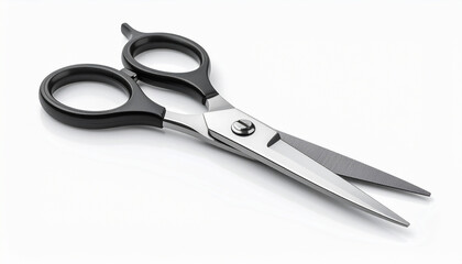Obraz premium Professional Stainless Steel Scissors