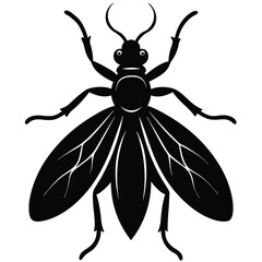 vector illustration of a black beetle