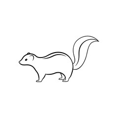 Fototapeta premium Common Skunk Vector Graphic for Wildlife