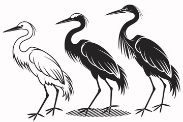 Heron Bird Silhouettes on Transparent Background, Elegant Heron Bird Silhouette Set