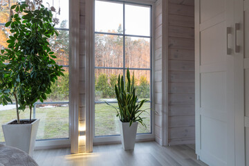 Bright interior with tall houseplants in white planters near panoramic windows, wooden walls and wardrobe, cozy natural light. Perfect for eco interior blogs, design concepts, and green living themes.