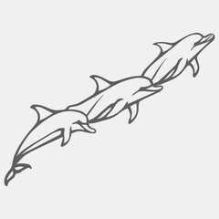 shark vector illustration