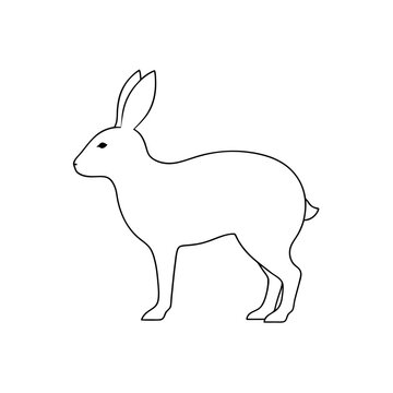 Agile South African Springhare Vector Graphic