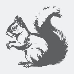 Fototapeta premium squirrel eating nut