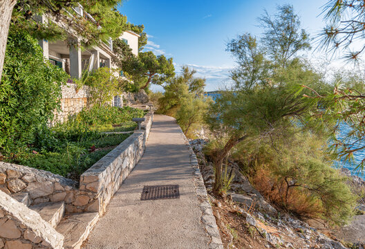 Peaceful stone path in Primosten, Croatia, lined with lush greenery and Mediterranean architecture, stretches toward the blue sea under a bright summer sky. - Powered by Adobe