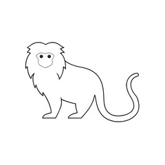 Fototapeta premium Cotton-Top Tamarin on White Background Small Monkey Illustration