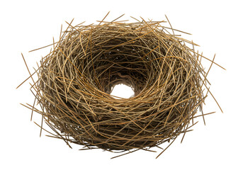 Obraz premium A Carefully Constructed Birds Nest isolated on transparent baackground