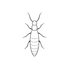 Termite Illustration on White Background Pest Insect Graphic