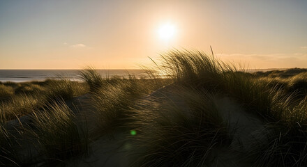 Golden Hour Shines Across Dune Grass And Ocean At Sandy Beach