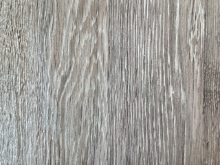 Close up of grey white solid wood texture with open pore veins. Seamless timber solid wood...
