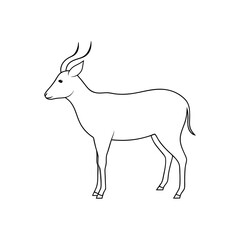 Fototapeta premium Waterbuck on White Background: African Antelope Illustration