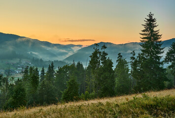 Mountain Meadow Sunrise Sunburst Mist