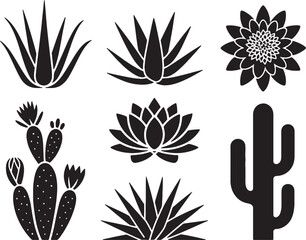 Desert plants black silhouettes botanical illustrations