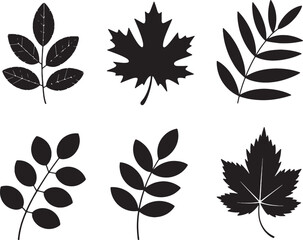 Obraz premium Six black silhouettes of different leaves