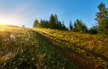 Obraz premium Path Uphill Meadow Sunrise Starburst