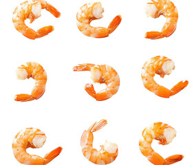 Isolated Nine Cooked Shrimps