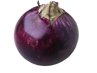 Isolated Single Purple Eggplant