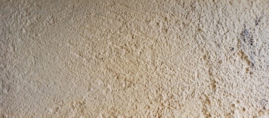 Rough Textured Light Beige Cement Wall Background