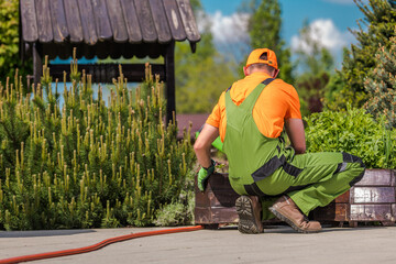 Gardener Tending to Plants in a Sunny Outdoor Setting With Vibrant Greenery During the Day