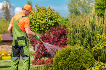 Gardener Tending to Lush Landscape With a Spray in Bright Afternoon Sunlight in a Well-Maintained Garden