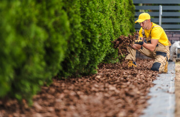 Gardener Applying Mulch Around Well-Trimmed Hedges in a Landscaped Yard on a Sunny Day