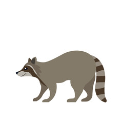 raccoon animal cute vector illustration emoji icon symbol sign 