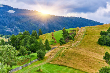 Mountain Ridge Path Grassy Landscape
