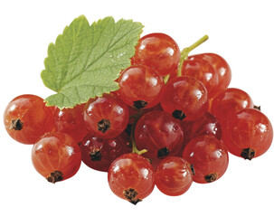 Isolated Group of Red Currants
