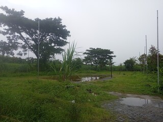 Rural Village Sports Field After a Tropical Rain