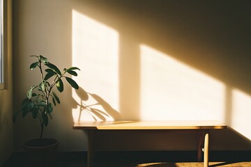 Sunlight streams into a room, casting shadows on a light wooden bench and a plant