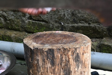 Naklejka premium Chopping goat meat on chopping board. Fresh raw or uncooked goats mutton cutting from Traditional iron tool in Indian village life. chopping goat meat into small pieces.