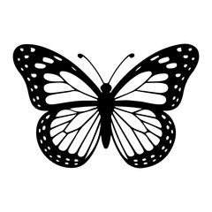 A black and white butterfly with detailed wings and body in a symmetrical design is centered here