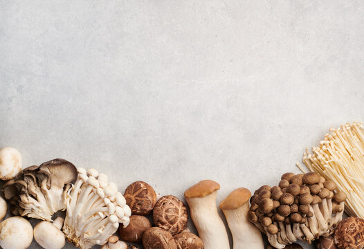 Set of different mushrooms on background, oyster mushrooms, champignons, enoki, shiitake, honey mushrooms, flat lay. Space for text