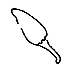 bird's eye chili icon	