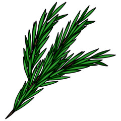 A detailed vector illustration of a rosemary sprig, showcasing its vibrant green leaves and intricate details, perfect for culinary or botanical designs.