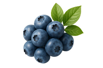 Fresh blueberries with green leaves isolated on transparent background