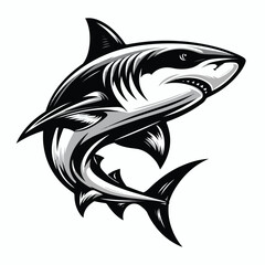 fierce shark vector image