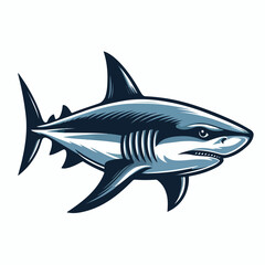 fierce shark vector image