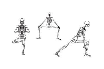 Skeleton Yoga Pose Vector Illustration