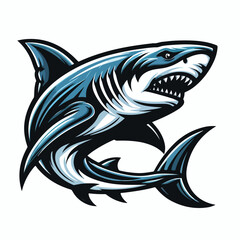 fierce shark vector image