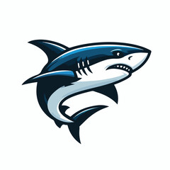 fierce shark vector image