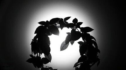 Silhouette of leaves against bright light